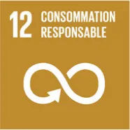 ODD 12 : Consommation et production responsables