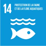 ODD 14 : Vie aquatique