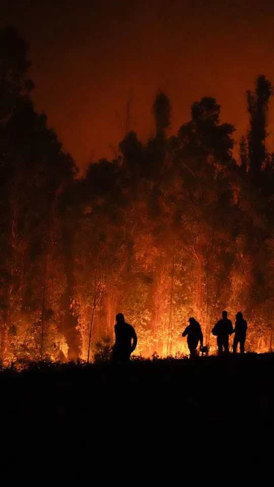 Des silhouettes devant une for&ecirc;t en feu, la nuit.