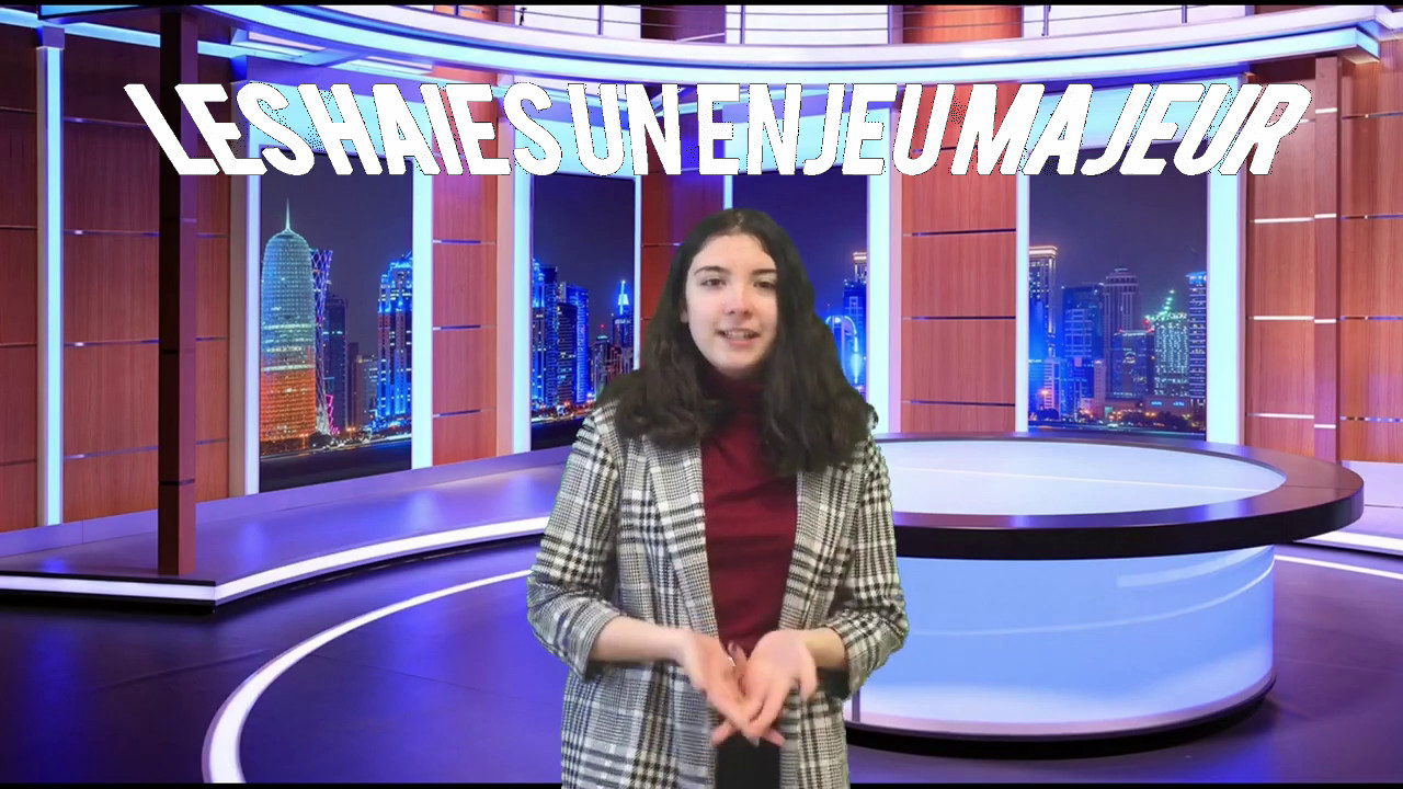 Archives des NouvelleAquitaine Jeunes reporters