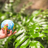 gros-plan-main-enfant-tenue-boule-globe-devant-plante (3) gros-plan-main-enfant-tenue-boule-globe-devant-plante (3)
